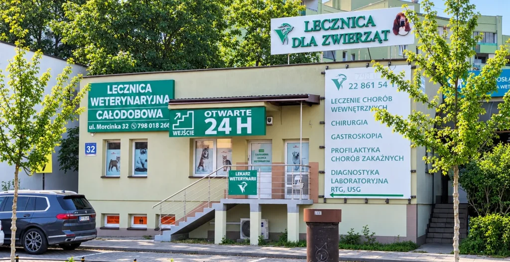 Wejście do lecznicy